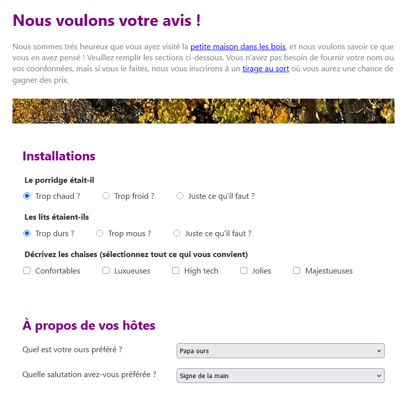 L'exemple terminé pour le défi ; un formulaire de retour d'information montrant deux ensembles de boutons radio, un ensemble de cases à cocher et deux menus déroulants